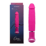 Vibrador Recargable 21 cm Gael